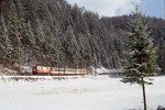 Zug auf Talfahrt oberhalb Laubenbachmühle